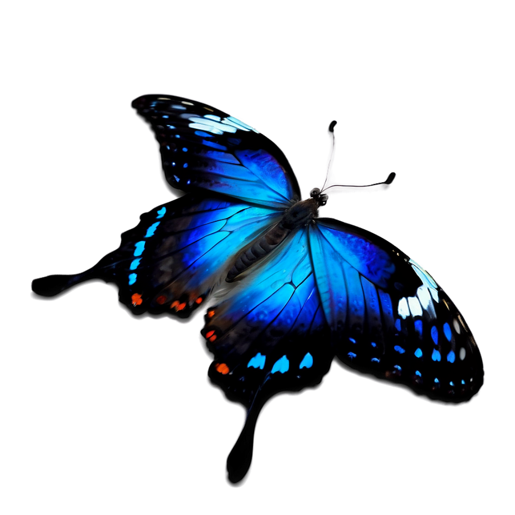 Captivating Luminous Blue Butterfly Wallpaper with Intricate Patterns