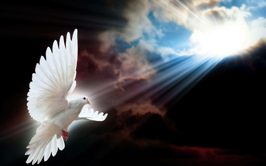 Luminous Dove Soaring Under Sunbeam - Peaceful Sky Background Wallpaper