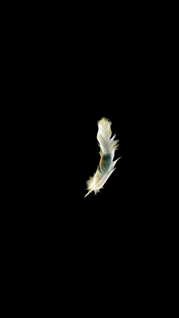 Luminous Feather Wallpaper: Ethereal Glow on Deep Black Background