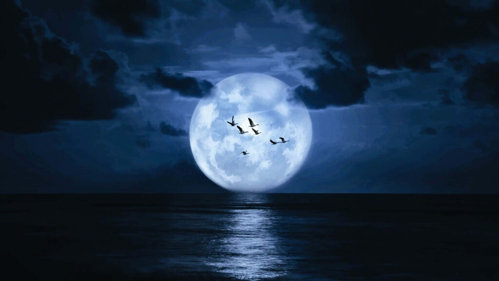 Stunning Moonlit Ocean Wallpaper: Birds & Dramatic Clouds