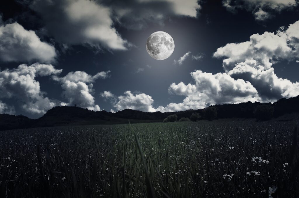 Luminous full moon over grassy field under dramatic cloudy night sky with textured landscape Wallpaper