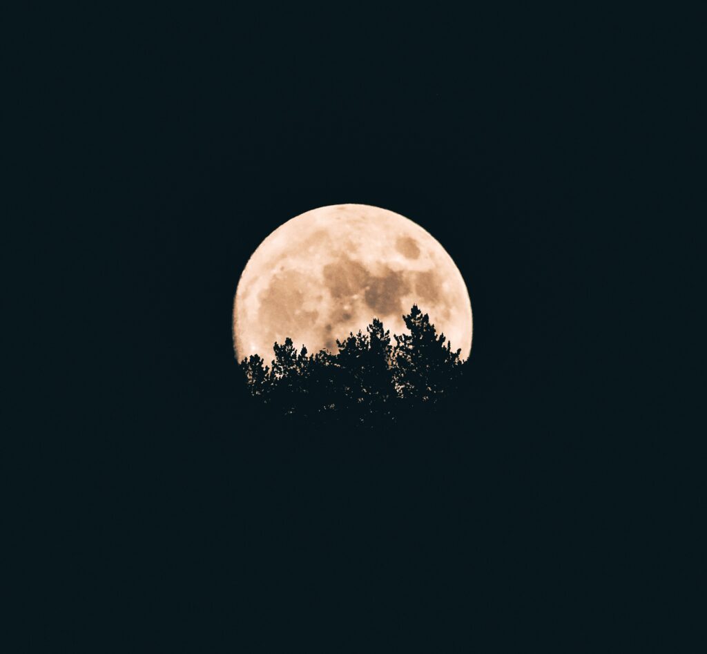 Luminous Full Moon Wallpaper: Serene Night Sky & Silhouetted Treetops