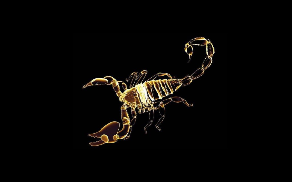 Glowing gold Scorpio zodiac scorpion X-ray style digital art on black minimalist wallpaper background