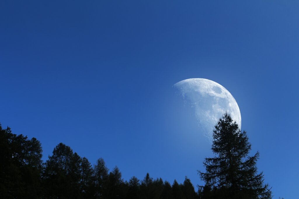 Luminous moon rising over tall tree silhouettes against clear blue sky serene nature wallpaper