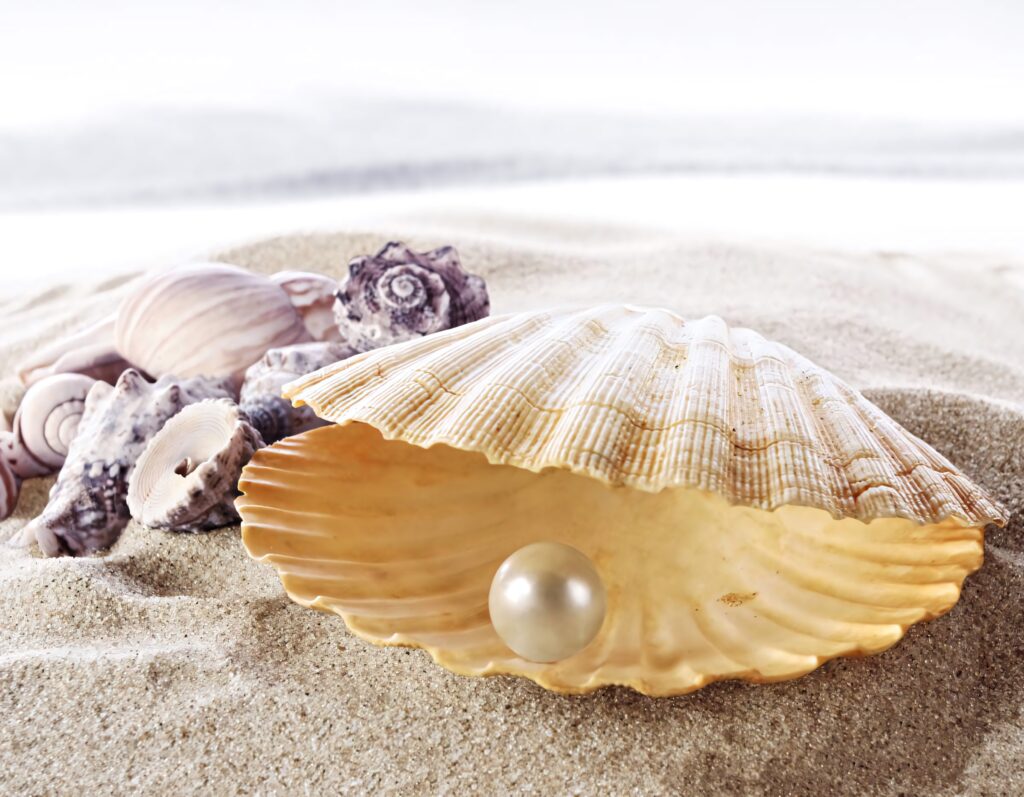 Open clam shell with luminous pearl on soft sand surrounded by textured seashells beach background Wallpaper