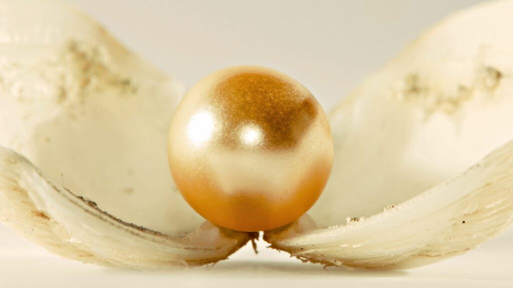 Luminous Pearl in Shell Wallpaper - Symbol of Purity & Beauty