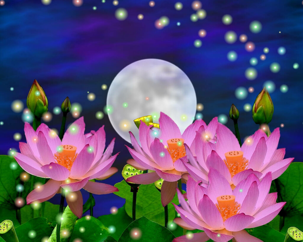 Enchanting Pink Lotus Wallpaper under a Luminous Full Moon