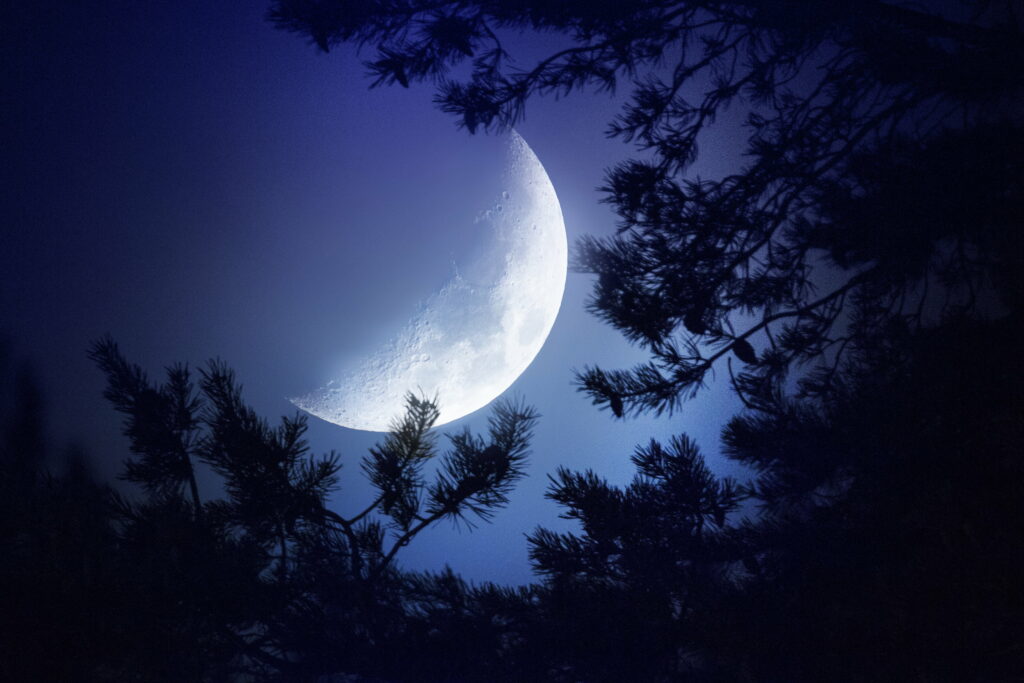 Luminous Nightfall: Majestic Lunar Glow Amidst Serene Natural Ambiance Wallpaper
