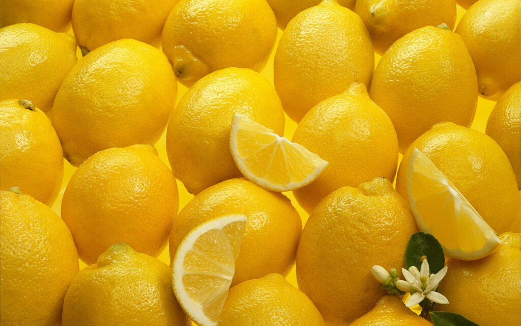 Lush Lemon Harmony: A Citrus Symphony in Neatly Arranged Delights, Adorned with a Blossoming Tree Flower and Slice of Tangy Elegance Wallpaper
