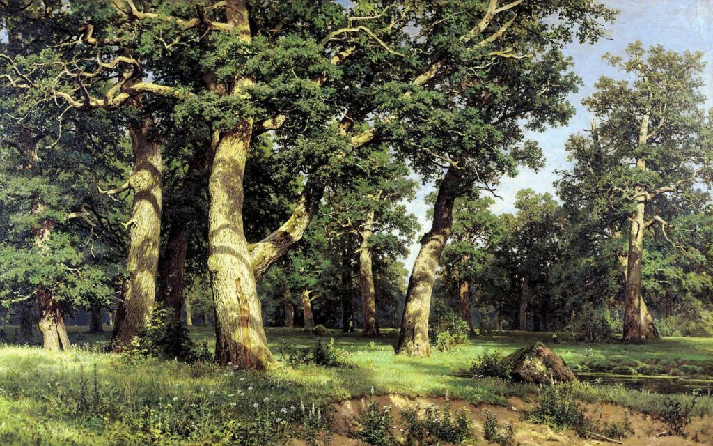 Lush forest wallpaper with towering oak trees sunlight filtering through dense green foliage