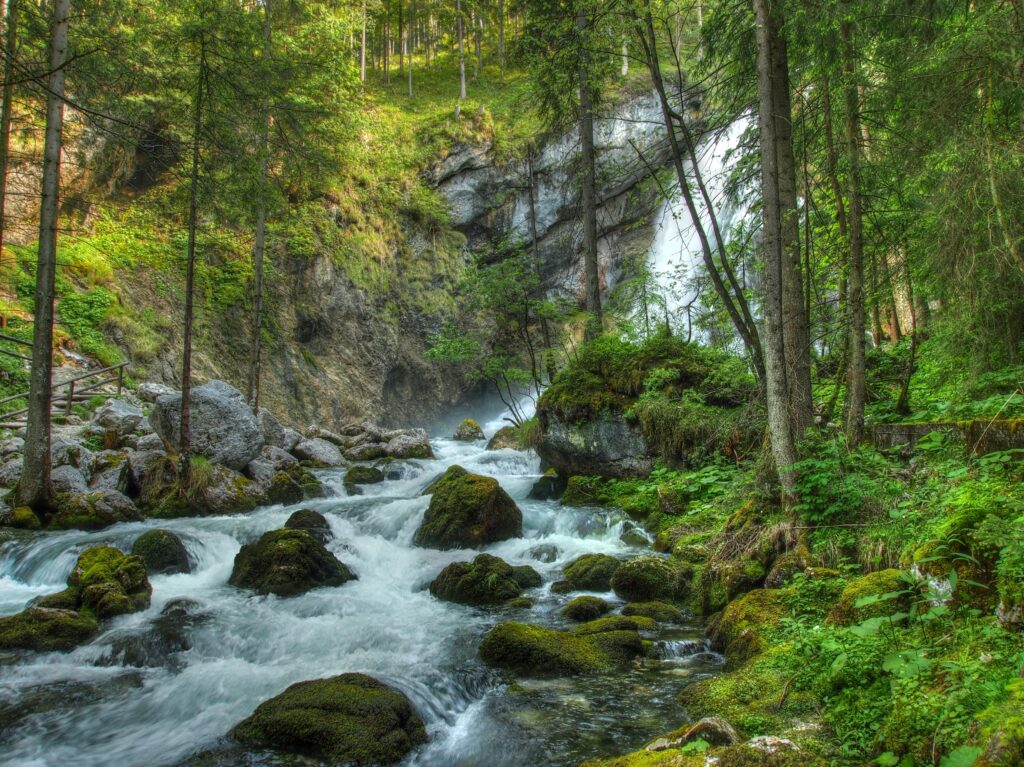Lush forest with crystal-clear river cascading over mossy rocks and majestic waterfall background Wallpaper