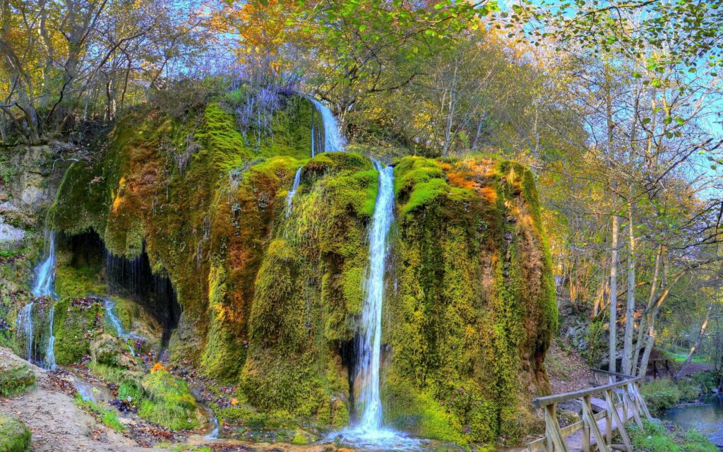 Vibrant waterfall cascading over mossy rocks with lush green grass and dense forest background Wallpaper