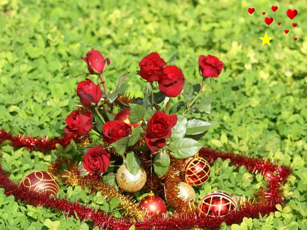 Vibrant Red Roses Holiday Wallpaper with Festive Tinsel & Greenery
