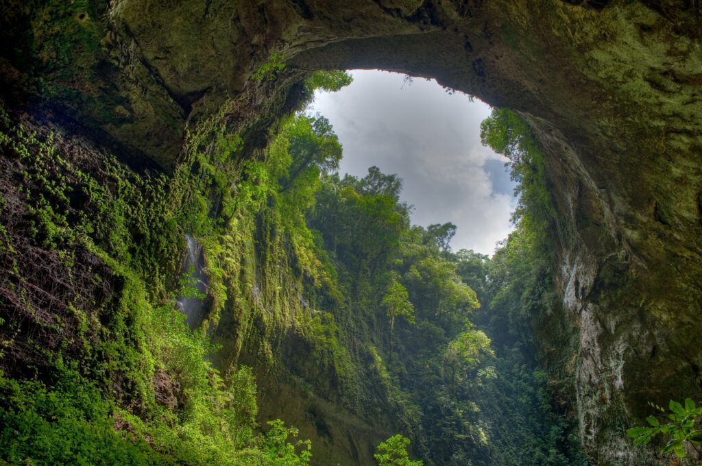View from lush gorge floor through green rock arch to cloudy sky natural landscape wallpaper