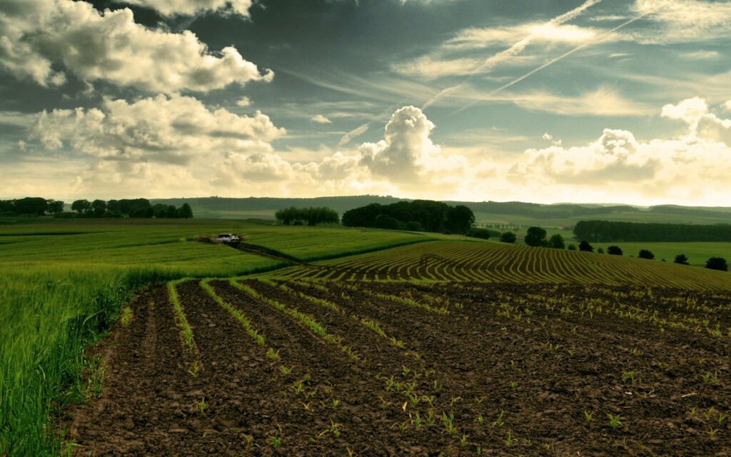 Expansive green agricultural farmland under dramatic sky rural landscape wallpaper background