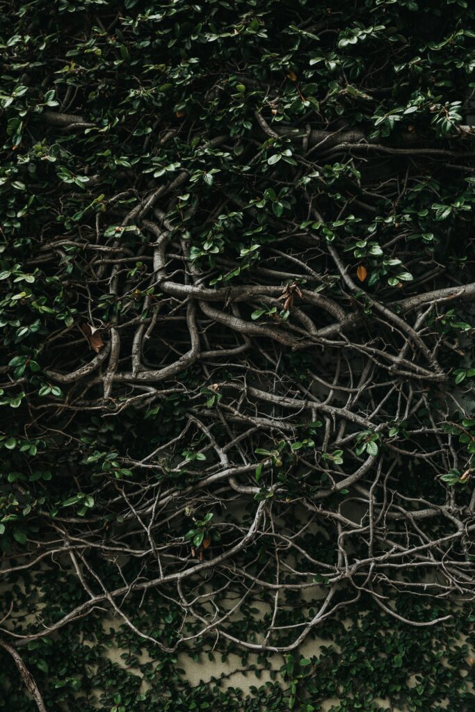Intricate green leafy branches wallpaper with dark earthy tones creating a natural tranquil background