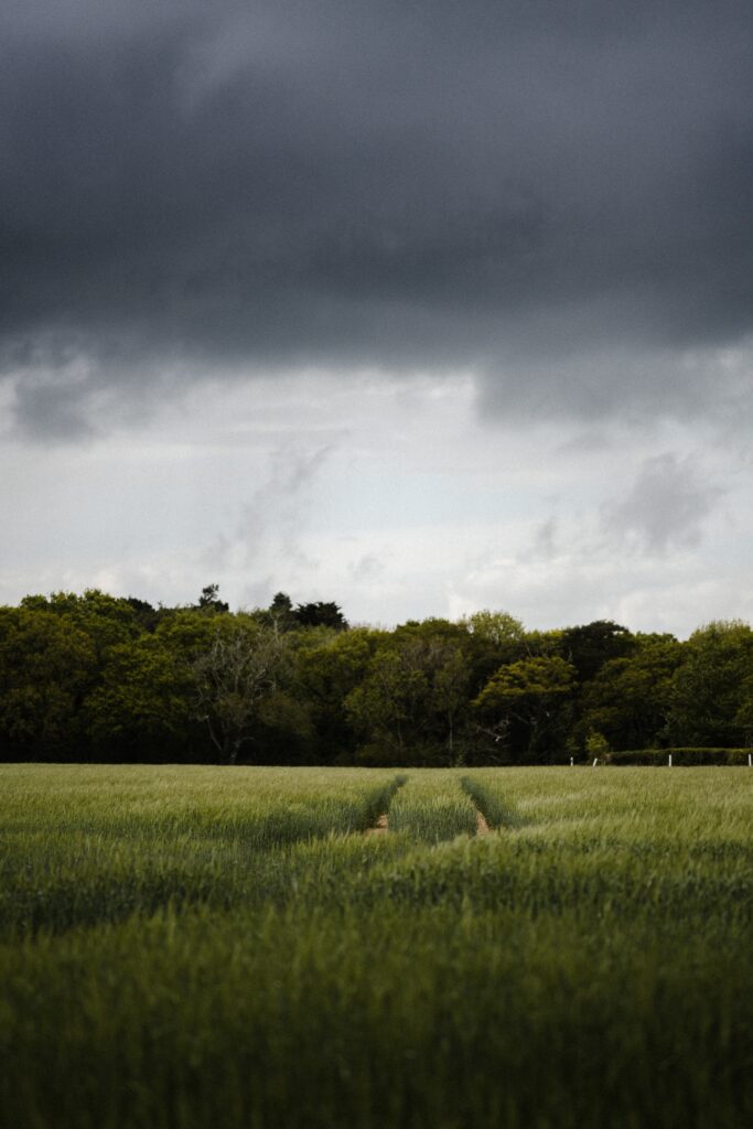 Lush green field with narrow path leading to dense trees under dramatic overcast sky wallpaper