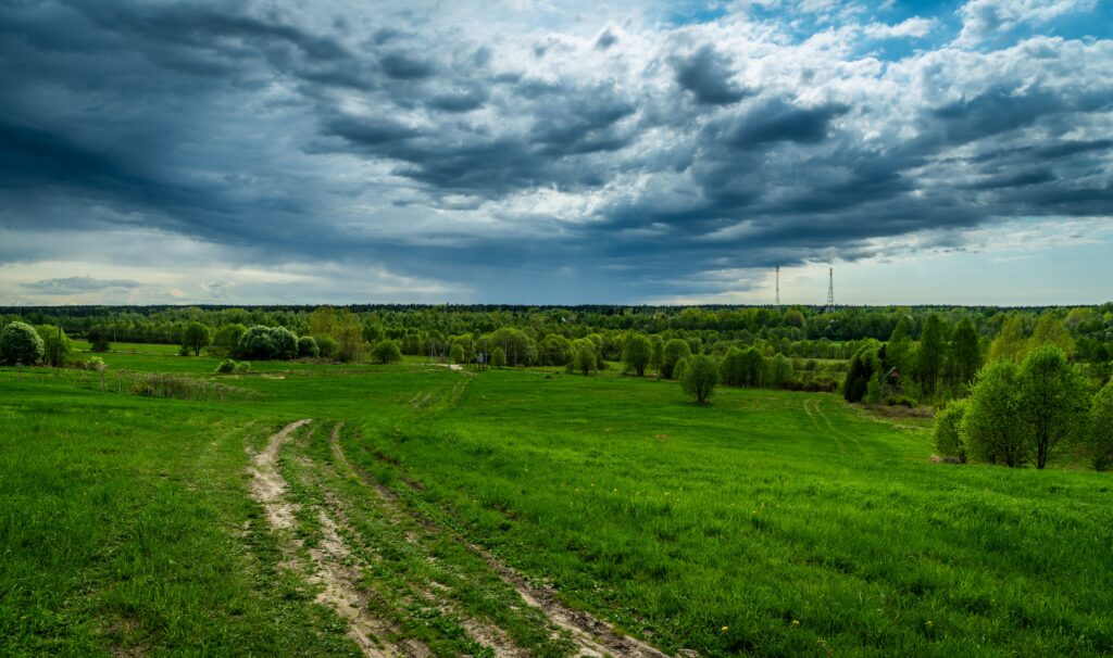Lush green field under dramatic summer sky with rolling grass and distant trees wallpaper background