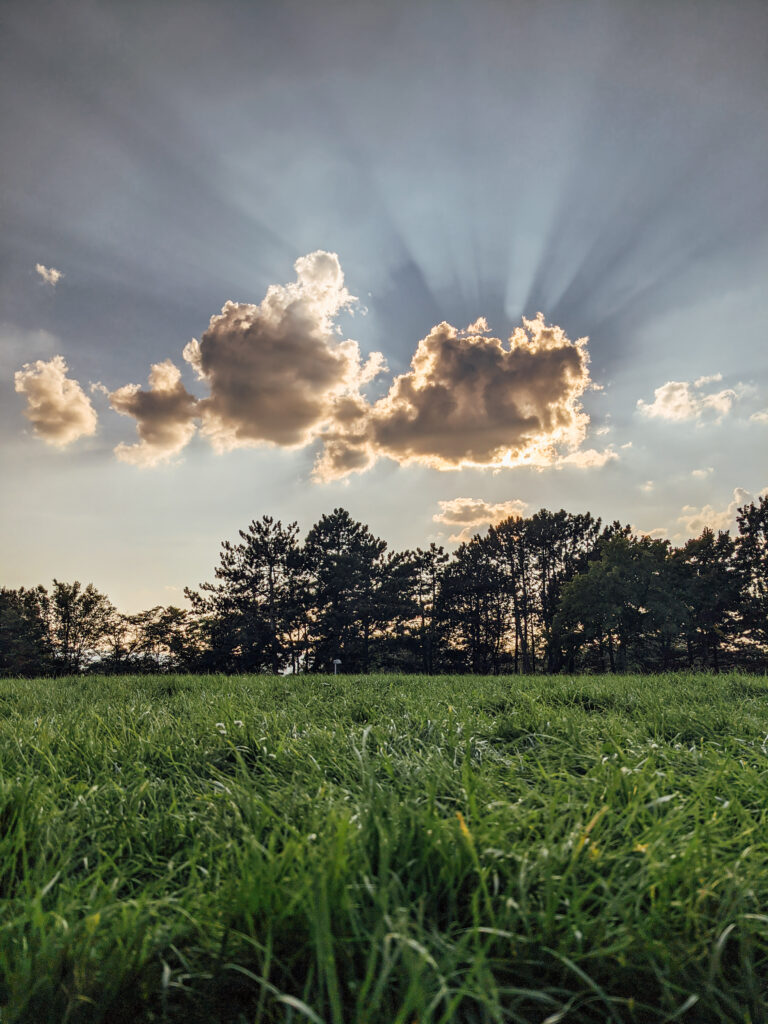 Lush green field with tall trees and sun rays piercing dramatic cloudy sky landscape wallpaper