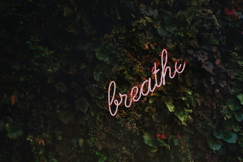 Tranquil Lush Green Foliage Background with Neon 'Breathe' Sign Wallpaper