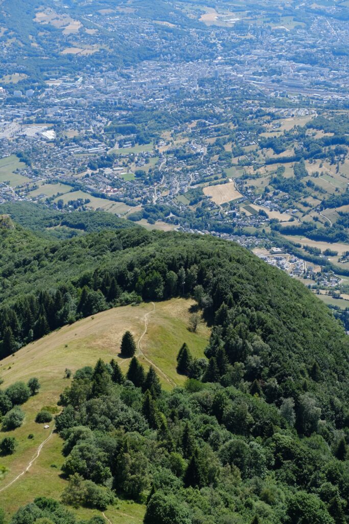 Aerial view of lush green forest trail leading to scenic overlook above sprawling urban townscape wallpaper