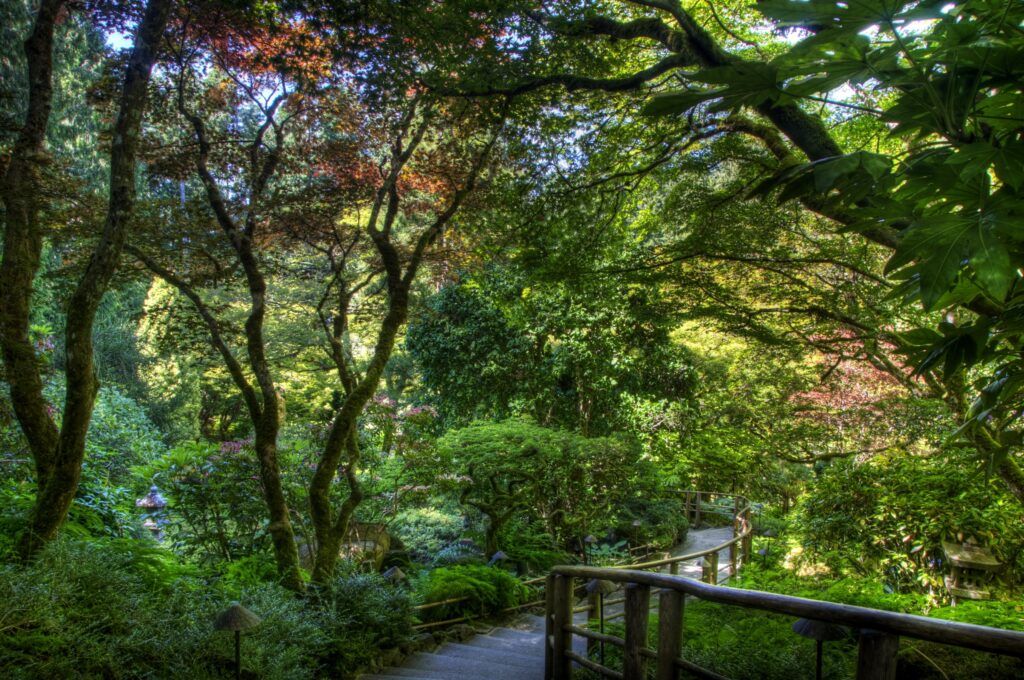 Lush green garden with tall trees stone steps wooden handrail and dappled sunlight wallpaper