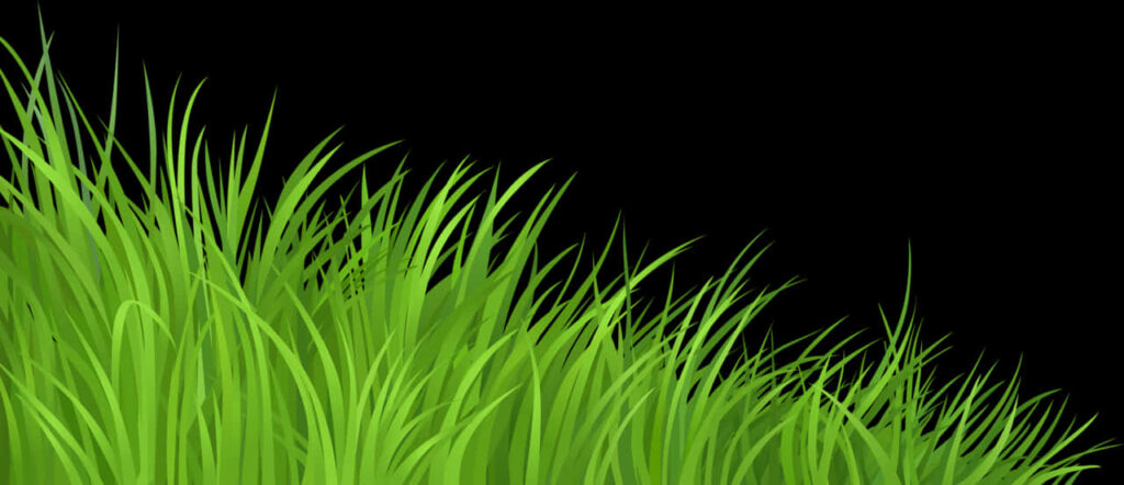Vibrant Green Grass Design on Black: Striking Dynamic Wallpaper