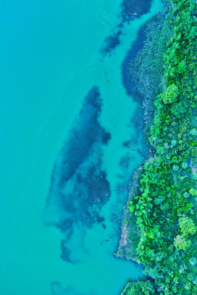 Aerial view of lush green island with turquoise waters and visible shallow coral reefs coastline Wallpaper