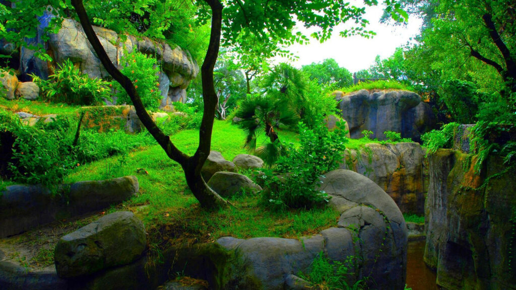 Lush Green Landscape Wallpaper: Vibrant Nature Oasis Background