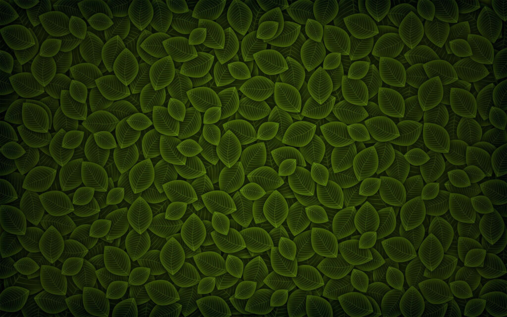 Lush Green Leaf Wallpaper: Vibrant Nature-Inspired Background