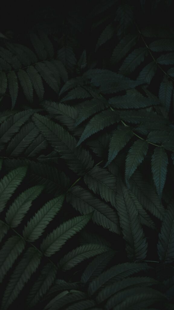 Lush green leaves wallpaper with intricate carved patterns on dark background nature theme