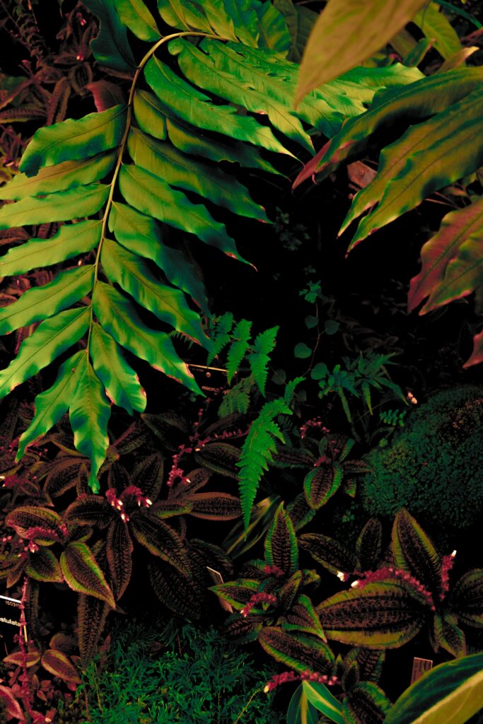 Vibrant wallpaper with lush green leaves dense plant textures bright emerald to deep forest tones