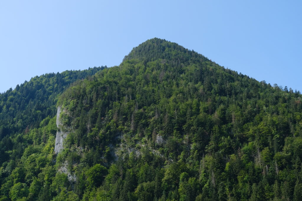 Lush green mountain forest under clear blue sky vibrant nature landscape wallpaper background