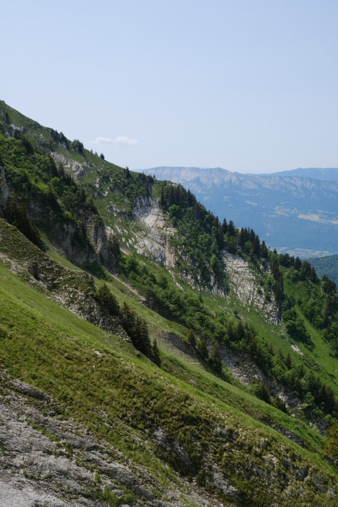 Lush green mountain slope with trees and clear blue sky scenic natural landscape wallpaper