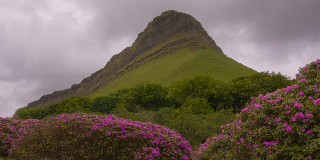Green mountain with pink rhododendron flowers under cloudy sky vibrant serene nature wallpaper
