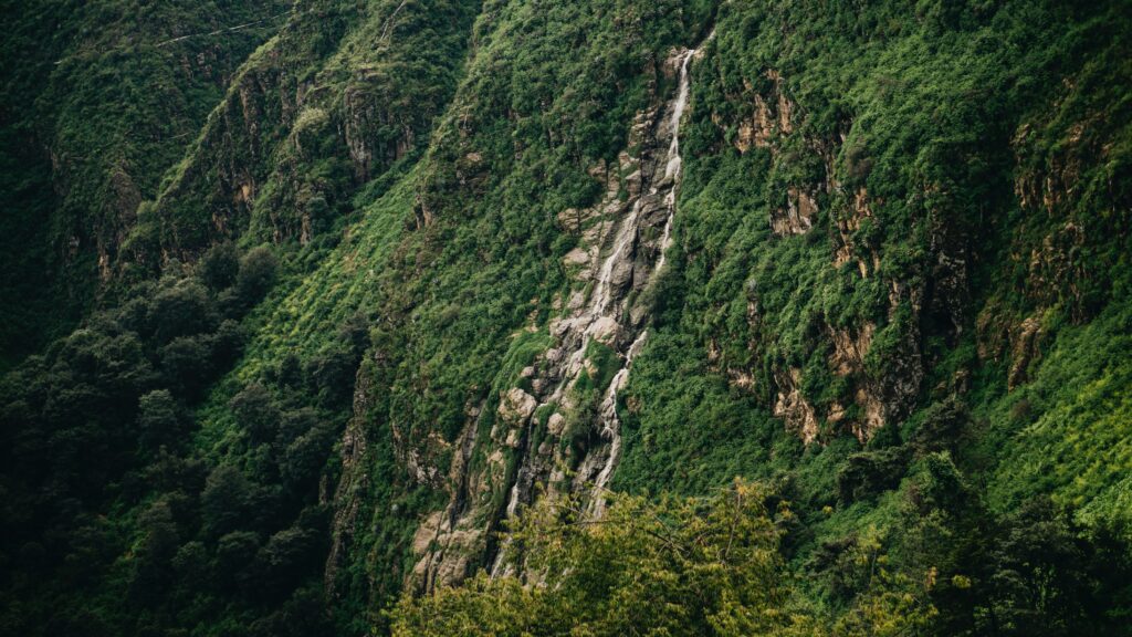 Lush green mountainside slope with rocky cliffs and dense forest vibrant natural landscape wallpaper