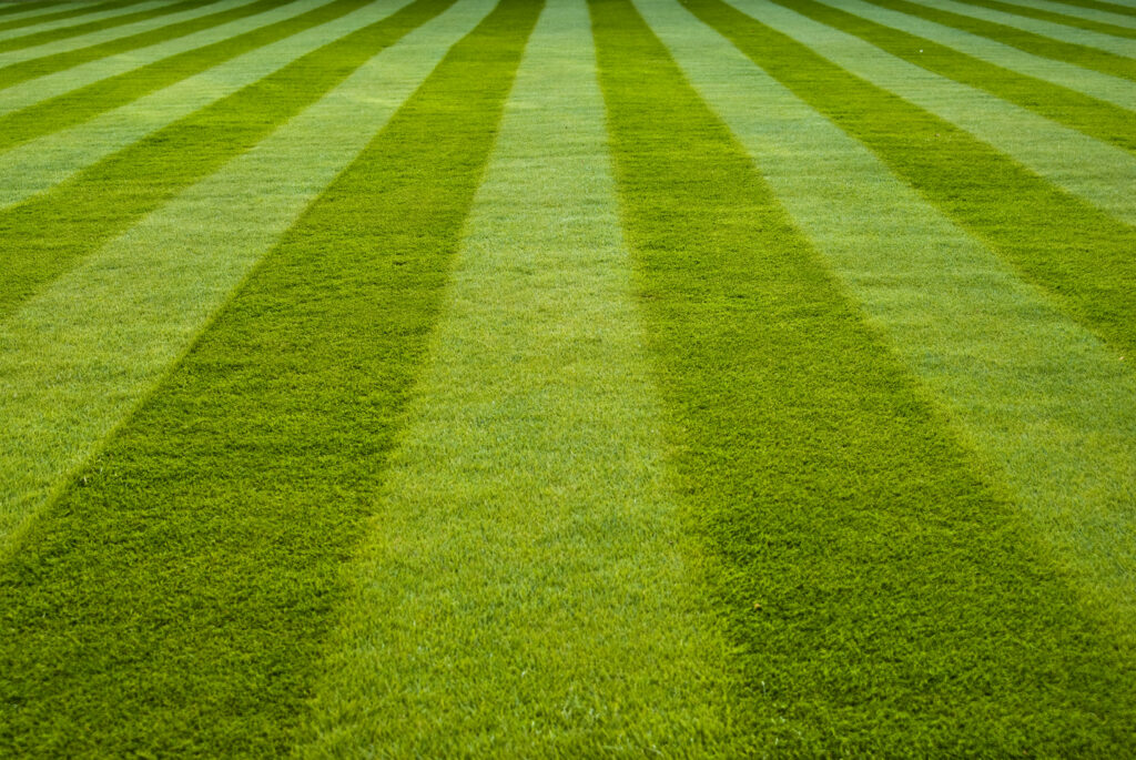 Lush green stadium field with striped freshly mowed grass vibrant sports arena background Wallpaper