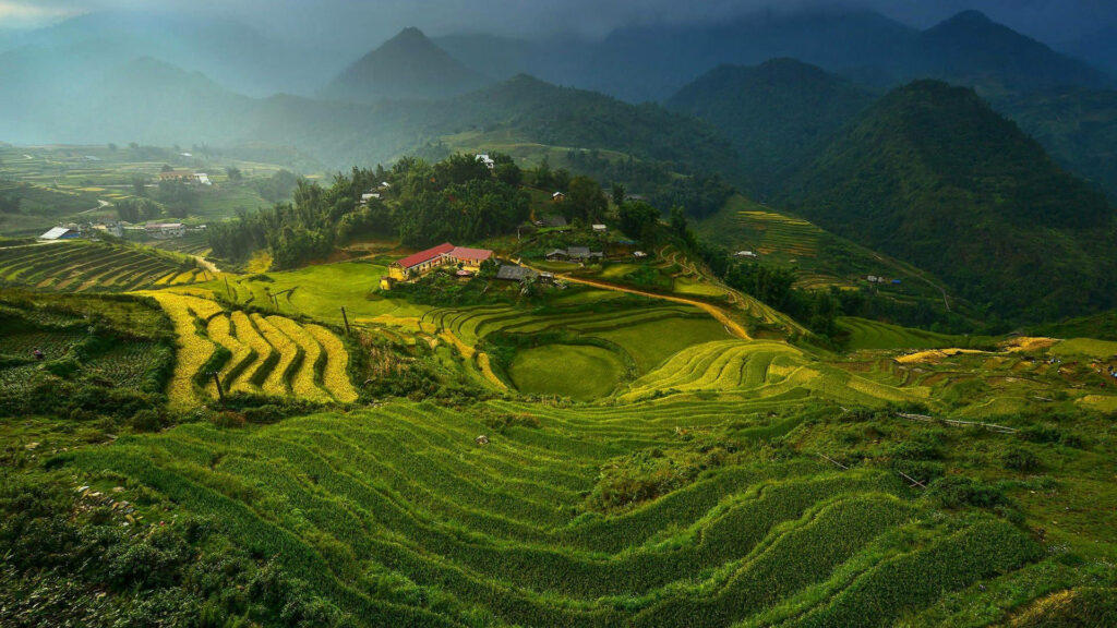 Lush green terraced rice fields and traditional houses in misty mountains of Lào Cai Vietnam Wallpaper