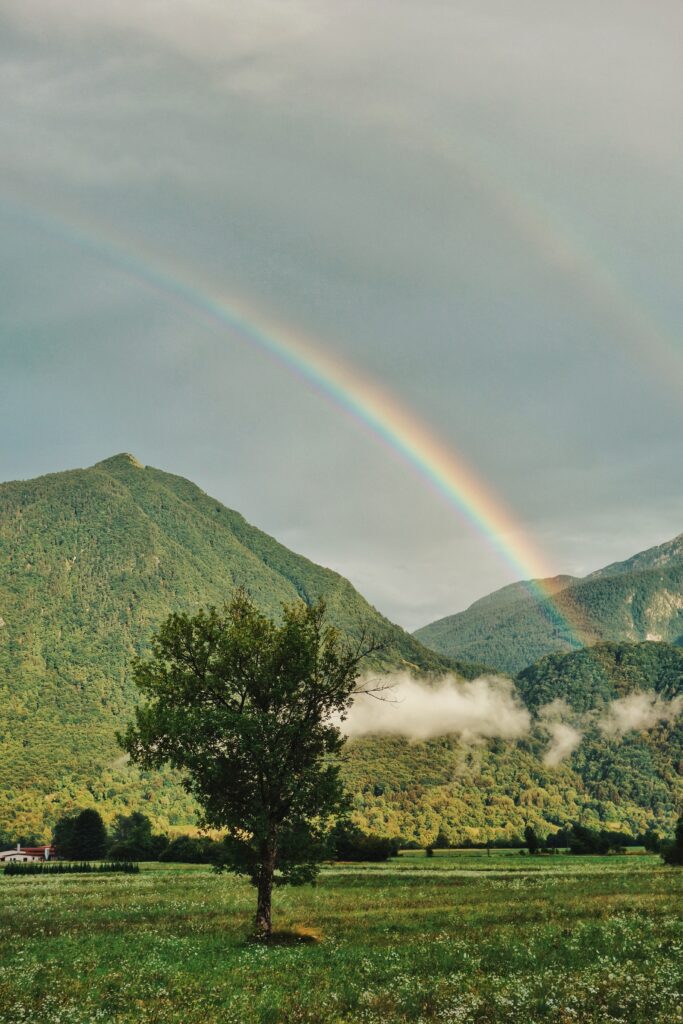 Vibrant wallpaper with lush green tree rainbow over forested mountains and dramatic sky background