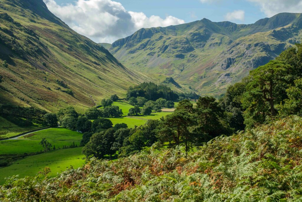 Lush green valleys and mountains with trees under a partly cloudy sky serene nature wallpaper
