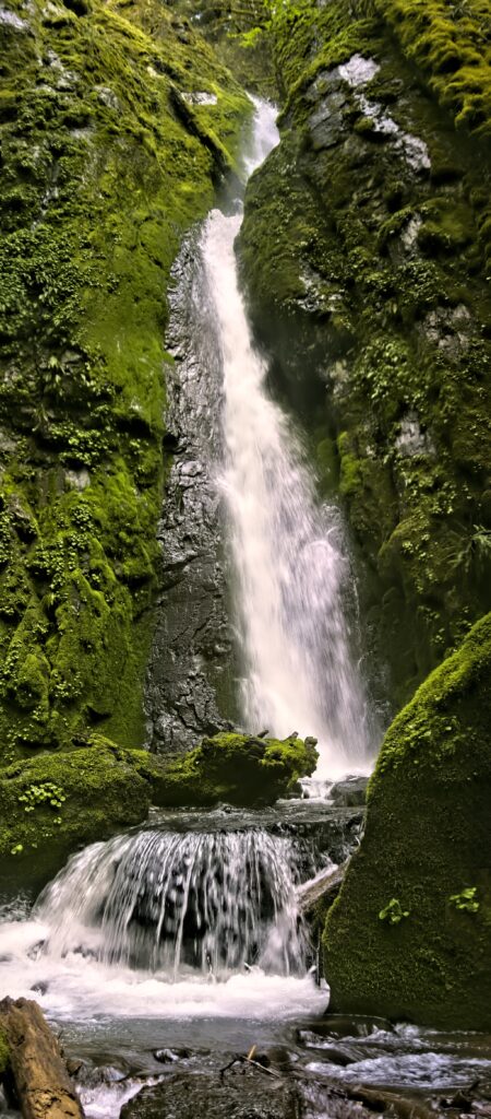 Waterfall cascading over mossy rocks in lush green forest with vibrant fresh water splashes wallpaper