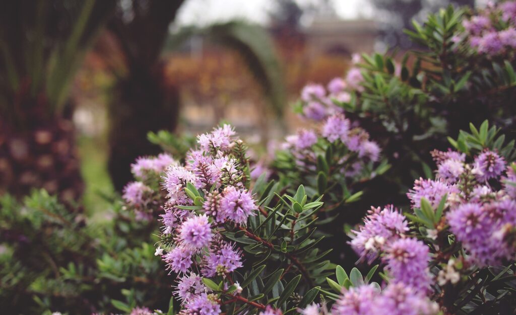 Lush Green Wallpaper with Delicate Purple Flower Clusters Background