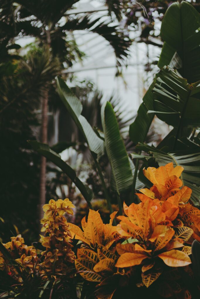 Vibrant Greenhouse Wallpaper: Tropical Plants & Lush Foliage Background