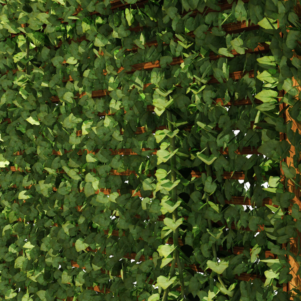 Vibrant Ivy-Covered Trellis Wallpaper Background for a Fresh Atmosphere