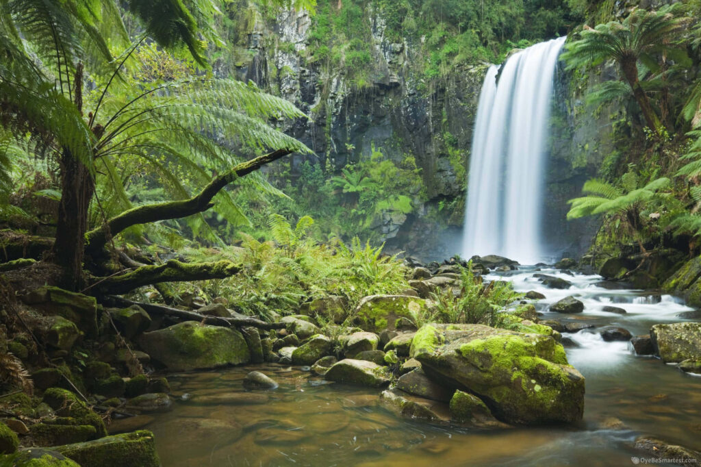 Tropical Paradise Desktop Wallpaper: Lush Jungle & Serene Waterfall