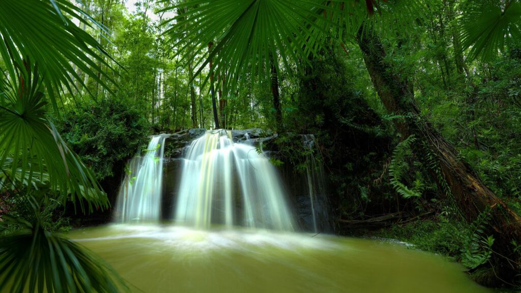 Lush jungle wallpaper with tall palms dense green thickets waterfall and tropical foliage paradise