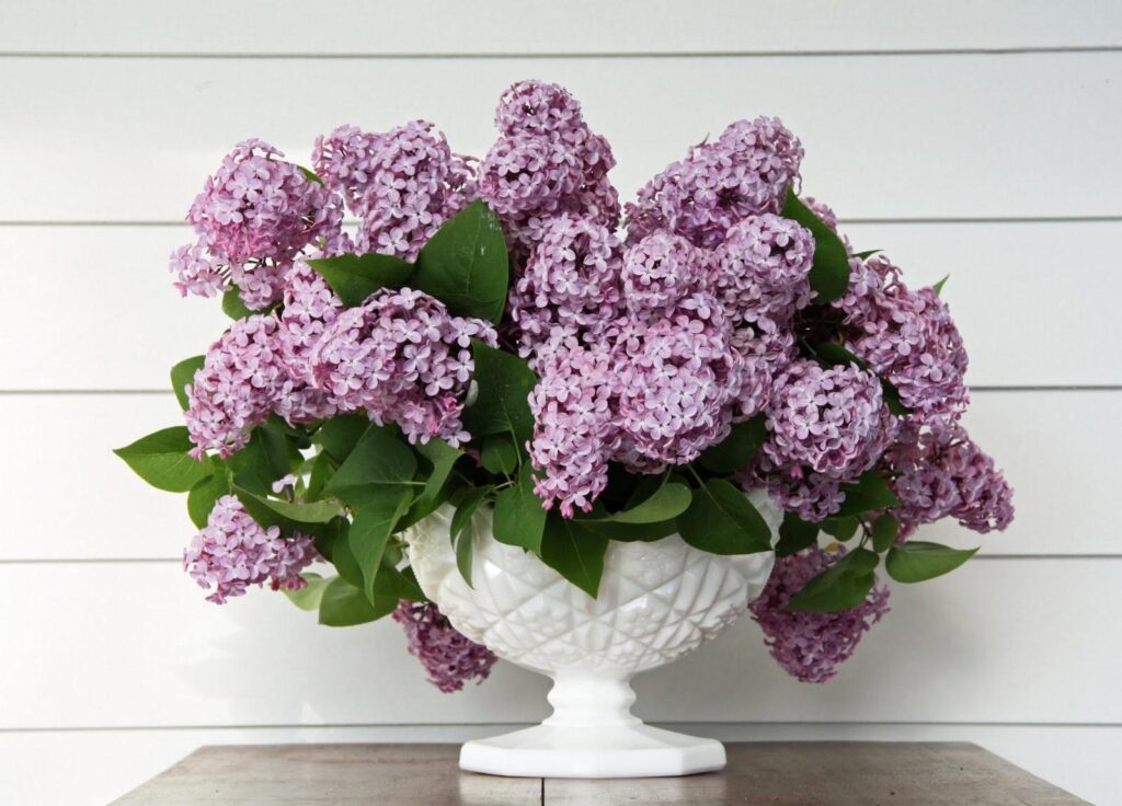 Lilac Flowers in Bloom: Fresh Spring Wallpaper Background