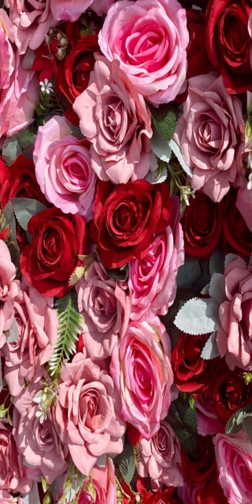 Vibrant Red and Pink Roses Wallpaper - Elegant Floral Background