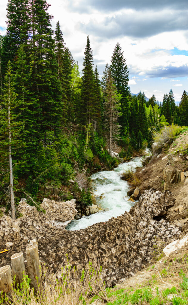 Lively river flows through lush spruce forest past mossy stones under partly cloudy sky serene landscape Wallpaper