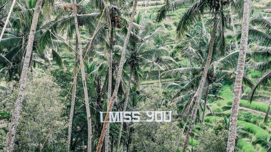 Lush Tegalalang Rice Terraces Bali with I Miss You sign and tall coconut palms wallpaper background